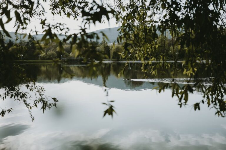 «Μου είπε ότι έχει κακοποιηθεί. Τι να πω;» Πώς στεκόμαστε δίπλα σε έναν άνθρωπο που μας εμπιστεύεται